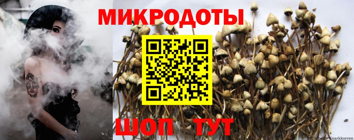 Галлюциногенные грибы Magic Shrooms  Вход с VPN  Зеленодольск 